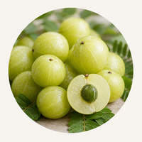 Amla (Amalaki)