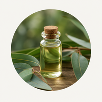 Nilgiri (Eucalyptus) Oil