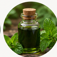 Pudina (Mint) Sat Extract
