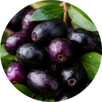 Jamun
