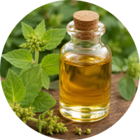 Sriparni Oil